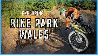 Bike Park Wales | Is it the Uks Best bike Park?