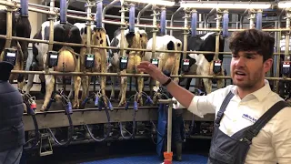 What is it like inside a milkrite | InterPuls parlour? -  The iMilk600, Attachment & Milking Routine