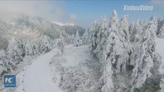 Breathtaking view! Alleged home of China's legendary Bigfoot turned into wonderland after snow