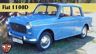 Jan Garbacz - Fiat 1100D i jego 60 letnia patyna