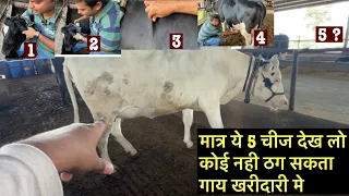 गाय खरीदने से पहले सावधान ⚠️cow purchase time/gay kharidne se pahle