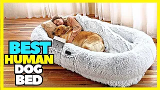 Top 5 Best Human Dog Bed On Amazon 2023 Best Beds For Large Dogs