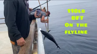 Blue Fin Tuna Fishing San Diego aboard the Islander