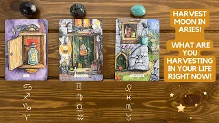 Harvest Moon in Aries! What Are You Harvesting in Your Life Right Now! ✨🌕 ♈️ 🌾✨ | Pick a card