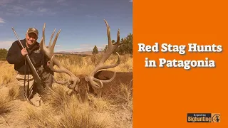 Red Stag Hunts in Patagonia with Algar