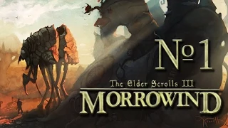 Прохождение TES III: Morrowind #1 Сейда Нин