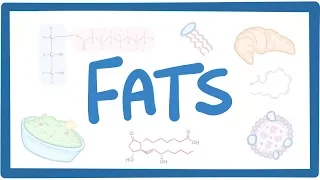 Fats - biochemistry