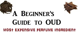 OUD - Do you know your Oud/Agarwood perfume ? A detailed guide for all !