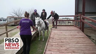 Equine therapy program in Texas struggles to grow as developers buy up land