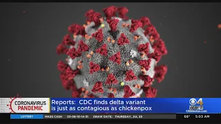 'The War Has Changed,' CDC Document Warns COVID Delta Variant Just As Contagious As Chickenpox