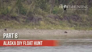 WOLF PACK ON THE YUKON - Alaska DIY Float Hunt (Part 8 of 9)