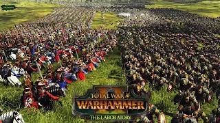 Ride of the Rohirrim - Knights of Bretonnia vs 20,000 Orcs - Total War Warhammer 2 Laboratory
