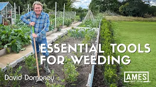 David Domoney: What tools are essential for weeding in the garden