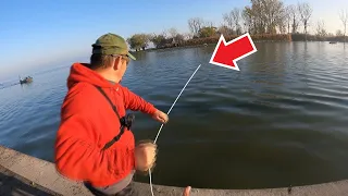 Once in a LIFETIME CATCH!!! - Lake St.Clair Musky Fishing