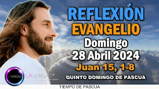 REFLEXIÓN DEL EVANGELIO DEL DÍA DOMINGO 28 DE ABRIL 2024 / JUAN 15, 1-8 / REFLEXIÓN CATÓLICA