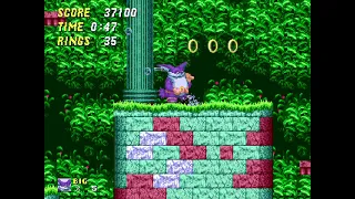Sonic The Hedgehog 2 Pink Edition Aquatic Ruin Zone 1 (Big the Cat)(with Cream)(Search for Froggy)