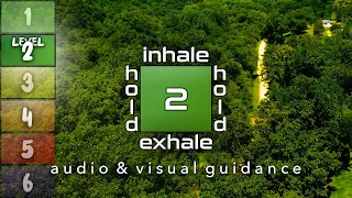 Guided Box Breathing With Audio And Visual Cues | Level 2 | Square Breathing