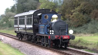 Bluebell Railway steam 2015