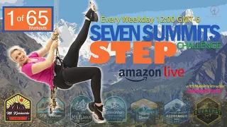 Beginner Step Aerobics Fitness Program | Home Workout | Learn to Step | 4000 Steps | 1 of 65