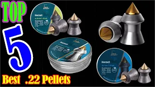 .22 pellets: Best .22 Pellets For Hunting You Can Buy In 2022