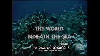 DISCOVERY '66 TV SHOW  "THE WORLD BENEATH THE SEA"  PART 1   UNDERSEA ANIMAL & PLANT LIFE  XD30692