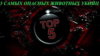 ТОП 5 ЖИВОТНЫХ УБИЙЦ 1