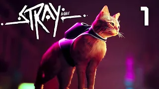 STRAY - #1 - Kočičí Dobrodružství - Nakashi  [CZ]