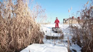 Как не надо рубить деревья