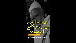 إذا سلمت من الأسد فلا تطمع في صيده عمر المختار