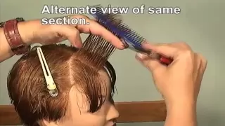 FREE HAIRDRESSING LESSON, How to layer bangs