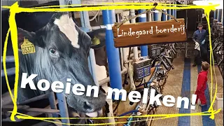 #7 Koeien melken