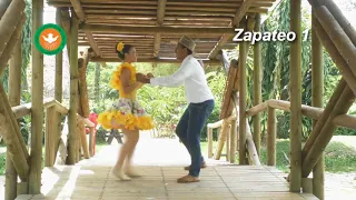 PASOS BASICOS DEL JOROPO: ZAPATEOS Y ESCOBILLADOS