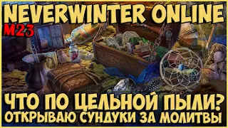 Обмазываюсь Цельной Пылью? | Neverwinter Online | M23