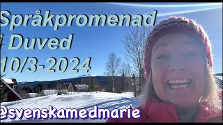 Språkpromenad i Duved 10/3 2024 - Svenska med Marie
