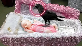 During The Funeral, the Raven Perched on the little Girl's Coffin. Then Something Strange Happened!