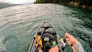 Smallmouth BASS & PANFISH on Dropshot (Kayak Fishing)