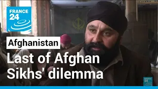 Stay or go? Dilemma facing last of the Afghan Sikhs • FRANCE 24 English