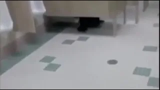 guy screaming on toilet (meme)
