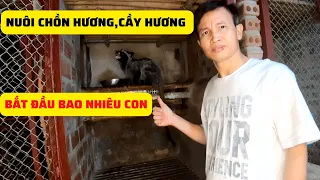 Nuôi Chồn Hương,Cầy Hương Giống Nên Bắt Đầu Bao Nhiêu Con - Trại Giống Đông Sơn