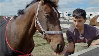 Young Riders S03 E15 Hold your horses