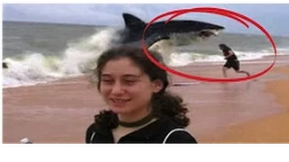 Top 10 Most Shocking Shark Attacks You Won't Believe