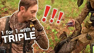 TRIPLE BEARD GOBBLER | CALLING TURKEYS over the WATER #turkeyhunting #outdoors #turkey