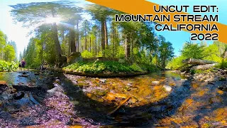 Wandering Camera: Mountain Stream, Stanislaus State Park, CA 2022