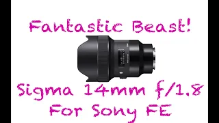 FANTASTIC BEAST!  Sigma 14mm f/1.8 Art Lens for Sony FE Mount Cameras