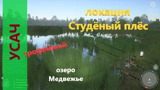 Русская рыбалка 4 - озеро Медвежье - Усач в камышах