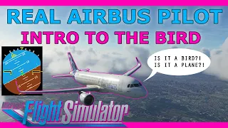 Flybywire A32NX adds the Bird! Tutorial with a Real Airbus Pilot