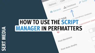 Script Manager Tutorial 2020 - How To Cleanup WordPress Plugin Assets Using Perfmatters Plugin