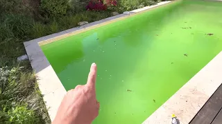 Eau verte piscine, dois je vider ou la rattraper, je vous dit tout !