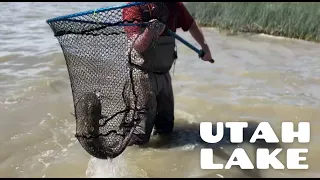 How and Where to Catch a Catfish in Utah