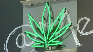 Denver to begin accepting marijuana hospitality applications
